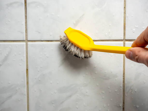 Best Commercial Mold Remediation in Molalla, OR
